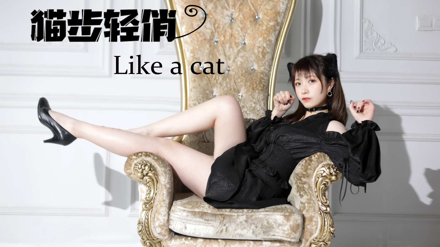 【汐渊】猫步轻俏like a cat AOA ~